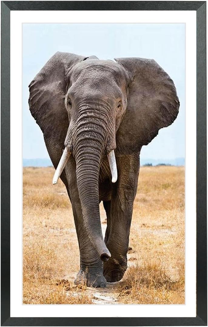 Mxtallup 12x22 Picture Frames Solid wood, Display Pictures 10x20 Inch With Mat or 12x22 Inch Without Mat, Poster Frames 10x20 in Photo Frames Wood Black (T22B1222W1020)