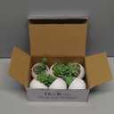 Der Rose Set of 6 Succulents Plants Artificial in Pots Small Fake Plants for Bedroom Aesthetic Living Room Shelf Bathroom Decor Office Desk Accessories