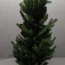 National Tree Company Pre-Lit 'Feel Real' Artificial Mini Christmas Tree, Green, Nordic Spruce, White Lights, Includes Burlap Bag Base, 3 Feet