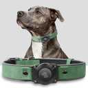 Premium Leather AirTag Dog Collar, 100% Waterproof & Reflective Dog Collar with AirTag Holder  Compatible with Apple Air Tag | Durable, Comfortable Padded GPS Dog CollarsGreen-M (M(12.5"-17.3"))