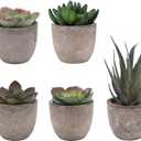 Set of 5 Artificial Succulent Plants in Pots - Lifelike Fake Succulents for Desk Decor, Low-Maintenance Home & Office Decor Gift