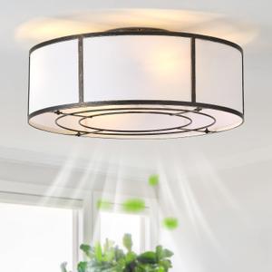 hummingbird 20inch Low Profile Caged Ceiling Fans with Lights, Flush Mount Ceiling Fan with Lights and Remote, Bladeless Modern Enclosed with 6 Speeds for Bedroom, Kitchen, Black