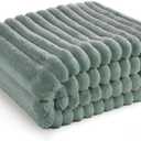 Bedsure Green Throw Blanket for Couch - GentleSoft Cozy Soft Blankets for Women, Cute Small Fleece Throws for Girls, Sage Green Room Decor Decorations for Home, 50x60 Inches