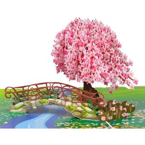 Cherry Blossom Pop Up Card, 3D Popup Flower Birthday Card 6x 8", Ideal Gift for Birthday, Mothers Day, Thank You, Anniversary, Valentines, All Occasion for Women, Wife, Mom, Sister, Grandma, Her