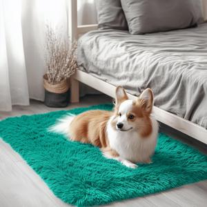 OLANLY 2x3 Machine Washable Small Bedside Rug, Soft Fluffy Shaggy Entryway Throw Rugs for Bedroom, Living Room, Indoor Floor Carpet for Kids Girls and Boys, Home Decor Aesthetic, Teal Green
