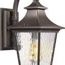 Emliviar 18.1" Outdoor Wall Light in Oil Rubbed Bronze Finish, Outside Wall Mount Light for Front Door, Water Ripple Glass with Die-cast Aluminum, 500181 ORB (Medium - 1 Pack)