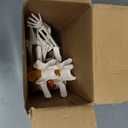 NLShan Human Skeleton Model for Anatomy: Scientific Model with Movable Arms, Legs & Display Stand - 17" Mini Human Skeleton Model for Study and Display