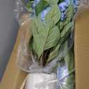 Hydrangea Artificial Flowers, 2 Pack 30in Blue Potted Plants, UV Resistant
