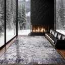 Rwlvpe Washable Rug 9x12 Area Rugs for Living Room,Non Slip Stain Resistance,Modern Abstract Rug for Bedroom, Durable & Ultra-Thin Vintage Large Area Rug(Black, 9'x12')