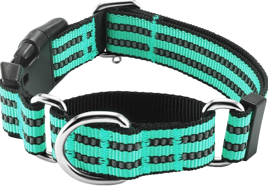 Hikiko Martingale Dog Collars Reflective Nylon Dog Collar with Quick Release Buckle Adjustable Training No Slip Dog Collar (Medium, Turquoise)