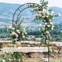 Garden Arch Trellis for Climbing Plants Outdoor Wedding Arches for Ceremony Black Metal Garden Arbor Indoor Garden Arches for Party Decoration 7.9ft Wide X 6.4ft High (Black Garden Arch)