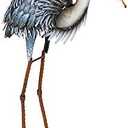 Cape Craftsmen Beautiful Springtime Brushed Metal Grey Heron Bird Handcrafted Statue - 24 x 43 x 8 Inches Fade and Weather Resistant Decoration for Homes, Apartments, Yards and Gardens