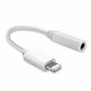 Apple Lightning to 3.5 mm Headphone Jack Adapter