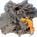 Reptiles Cork Bark Bits Substrate,1 LB Terrarium Bark Bedding Bulk for Geckos Snake Isopods Bearded Dragon Spiders Lizard Tarantula Hermit Crabs