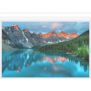 Clear Bags for Art Prints & Photos, Acid Free Self Seal Print Sleeves, Poster Sleeves - 50-Pack