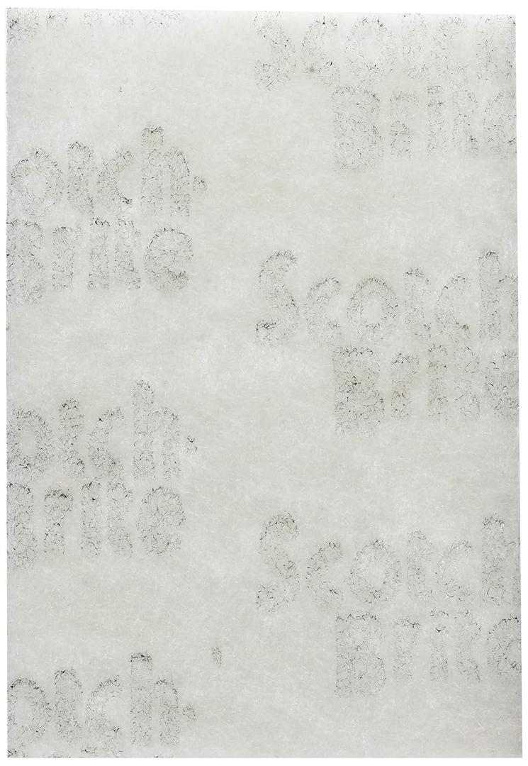 3M 98 - Scotch-Brite PROFESSIONAL Light-Duty Cleansing Pad 98 M