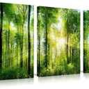 Forest Art Canvas Wall Decor: 3 Panel Nature Wall Art Landscape Paintings Framed Trees Green Pictures Sunrise Scenery Wall Decor for Living Room Bedroom Office Bathroom 12 x 16 Inch