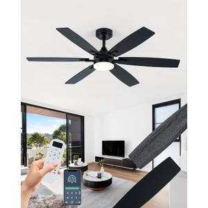 Coolwind 52" Ceiling Fan with Light, Black 6 Double-Side Blades and App/Display Remote Control, 6 Speed Reversible DC Motor, 3CCT Dimmable Led Flush Mount Ceiling Fan for Bedroom Indoor/Outdoor Use
