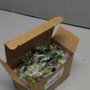 Tigeen 100 Pcs Rave Sprouts Bean Sprout Funny Hair Clips Mixed Style Plant Hairpins Hair Accessories for Home Party Irish(Mixed Style)