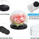 PATIKIL 4.9" Clear Cloche Glass Dome, Glass Bell Jar Globe Display Case Tabletop Centerpiece with Black Wooden Base for Succulents Christmas Decor