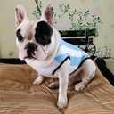 GabeFish Dog World Cup T Shirt Pets Football Jersey Sports Soccer National Team Vest Cat Summer Cool Clothes Apparel Argentina 4X-Large