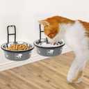 Torlam Elevated Pet Bowls, Wall Mounted Cat Food Dish, Raised Cat Food and Water Bowls, Stainless Steel Elevated Pet Bowls with Stand, Nonslip No Spill Pet Feeding Bowls (2 Packs) (Grey)