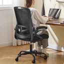 Ergonomic Office Chair, Desk Chair with Adjustable Lumbar Support, Breathable Mesh Comfy Computer Chairs with Flip-up Armrests Executive Task Chair for Adults Home Office(Black)