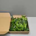 Large Leaf Trim Ribbon,Artificial Greenery Garland Vines for Baby Shower DIY Craft Wreaths Party Wedding Home Spring Decoration