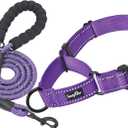 haapaw 2 Packs Martingale Dog Collar with Quick Release Buckle Reflective Dog Training Collars for Small Medium Large Dogs