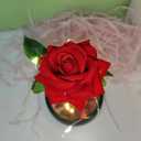 Gifts for Mom, Mothers Day Romantic Gift - Light Up Preserved Roses Enchanted Red Forever Silk Flowers for Mom Women Wife Girl Friend, Valentines, Birthday, Christmas, Thanksgiving, Wedding