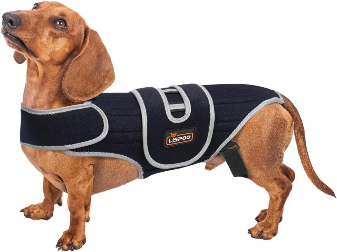 Dog Back Brace for Dachshunds & Slipped Disc | Post-Surgery Support & Arthritis Relief | Vet-Recommended Back Brace for Dogs | Breathable with Support Rods & Straps (Size S)