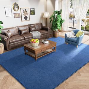 Amearea Modern Area Rugs for Bedroom Living Room, 4x6 Feet Blue Thickened Memory Foam Rug, Fluffy Indoor Washable Rugs Non Slip Minimalist Carpet for Kids Boys Girls Dorm Nursery Room Decor