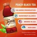 Tejava Unsweetened Peach Iced Tea, 16.9 Ounce PET Bottles, Natural, Non-GMO-Verified, Rainforest Alliance-Certified (12 Pack) (EXP 03/09/27)