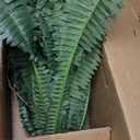 Nearly Natural 48-in Artificial Boston Fern, Set of 2, Large Hanging Fake Plant Wall Decor with 67 Fronds, Faux Fern Vines that Look Real for Home and Office Decor