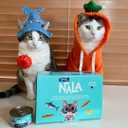 LOVE, NALA - Natural Adult Cat Wet Food - Mackerel with Carrot & Pumpkin Pate Recipe - 2.8 oz, Pack of 24 Cans - Grain-Free, Non-GMO, No Gums, No Carrageenan