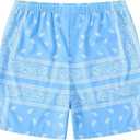 Men's Paisley Print Graphics Shorts Drawstring Waist Casual Boho Tribal Print Summer Shorts with Pockets (Blue, L)