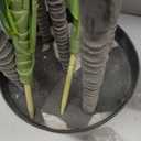 Artificial Dracaena Tree 5FT - Fake Tree with Black Tall Planter - Faux Yucca Tall Fake Floor Plant in Pot - Artificial Plant for Home Office Living Room Decor Indoor