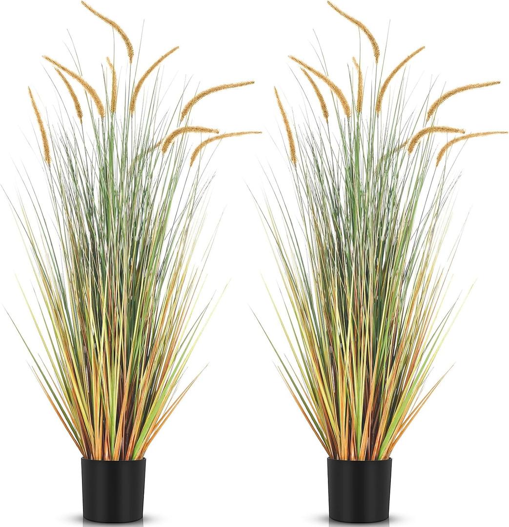 Jexine 2 Pcs 4 ft Fall Setaria Grass Plants in Pots