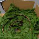 4 Pcs Christmas Garland with Lights 6 Ft, Real Touch Norfolk Pine Garland for Mantle, Christmas Decorations Indoor Outdoor for Wall Fireplace, Faux Greenery Cedar Garland Realistic for Table Decor