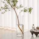 2 Acrylic Cylinder Clear Vase for Centerpieces, Tall Large Unbreakable Plastic Flower Vases for Home Decor (D 4.8" X H 7.8" - H 12" + 2 Holder)