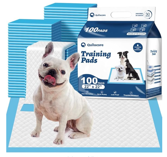 Basics LeakProof Dog and Puppy Potty Training Pee Pads with QuickDry 5Layer Super Absorbent Design, Regular Size 22 x 22 inch, Blue & White, 100 Count