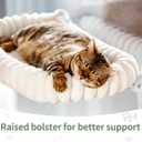 Sunhoo Cat Window Perch Bed Foldable Kitty Windowsill Hammock Shelf Seat Large Cats Suction Cup Indoor Kitten Window Sill Lounger with Soft Plush Cushion Machine Washable 21.26 * 11.8in (Green, M)