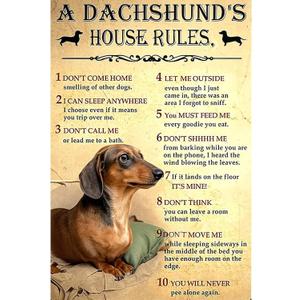 Retro Tin Sign Vintage Metal Wall Art for Home, Bar, Cafe, Garage or Office - Durable & Colorfast - Thoughtful Gift for Any Space - A DACHSHUND'S HOUSE RULES