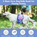 5 Pack Dog Diapers Male Reusable, Premium Belly Bands for Male Dogs, High Absorbing Dog Pee Wraps for Doggie in Incontinence or Excitable Urination and Training Galaxy (Large)