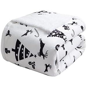 LBRO2M Sherpa Fleece Bed Blanket Queen Size, Christmas Super Soft Fuzzy Plush Warm Cozy Fluffy Microfiber Couch Throw Velvet Double Reversible Luxurious Blankets