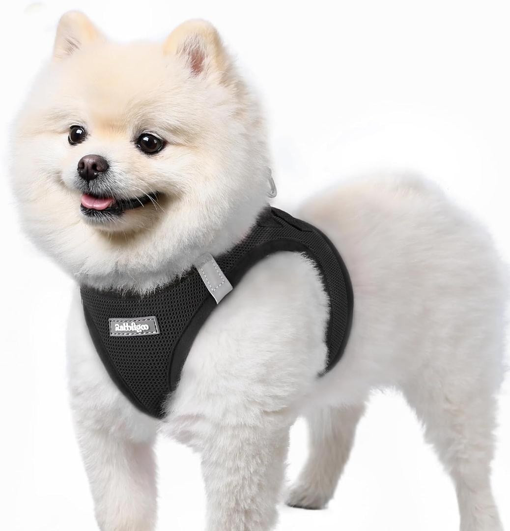 Rabbitgoo Small Dog Harness, Step-in Soft Mesh Puppy Vest with Safety Buckle, Breathable Reflective Pet Harness for Small Sized Dogs, Black S (S(Chest:15.1"-16.5"))