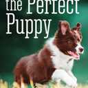 The Perfect Puppy, Paperback