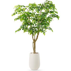 6.5FT Artificial Ficus Tree with White Planter, Moss and Pebbles | Faux Silk Tree with Lifelike Leaves and Realistic Trunk, Tall Fake Potted Plant, Home and Office Dcor, Indoor and Outdoor