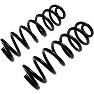 Rear Coil Spring Set Compatible with 2009-2018 Ram 1500 2wd 4wd Provide 50% Carrying Capability