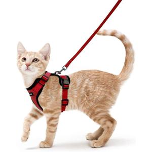 rabbitgoo Cat Harness and Leash for Walking, Escape Proof Soft Adjustable Vest Harnesses for Cats, Easy Control Breathable Reflective Strips Jacket, Red, XS